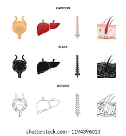 Vector illustration of body and human sign. Collection of body and medical stock symbol for web.