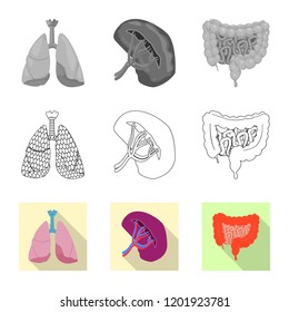 Vector illustration of body and human sign. Collection of body and medical stock symbol for web.