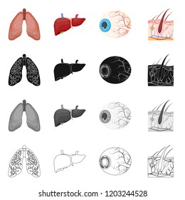 Vector illustration of body and human sign. Set of body and medical vector icon for stock.