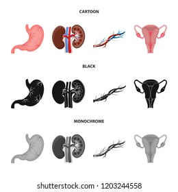 Vector illustration of body and human sign. Collection of body and medical vector icon for stock.