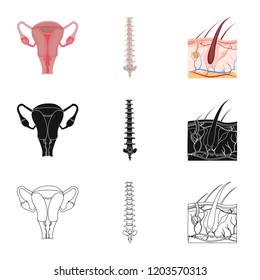 Vector illustration of body and human sign. Set of body and medical stock vector illustration.