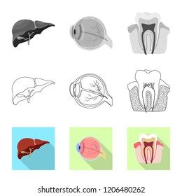 Vector illustration of body and human sign. Collection of body and medical stock symbol for web.