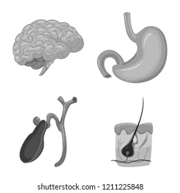Vector illustration of body and human sign. Set of body and medical stock symbol for web.