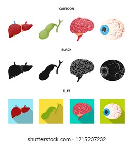 Vector illustration of body and human sign. Collection of body and medical stock vector illustration.