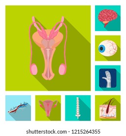Vector illustration of body and human sign. Set of body and medical stock vector illustration.