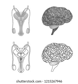 Vector illustration of body and human sign. Set of body and medical stock vector illustration.