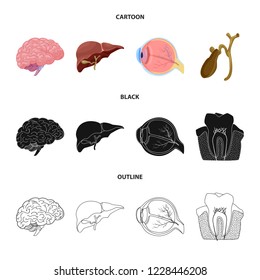 Vector illustration of body and human sign. Collection of body and medical stock symbol for web.