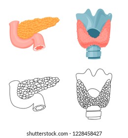 Vector illustration of body and human sign. Set of body and medical stock vector illustration.