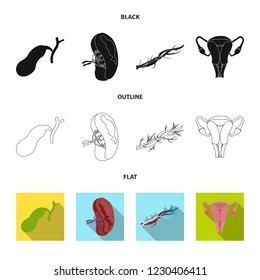 Vector illustration of body and human sign. Collection of body and medical stock vector illustration.