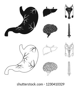 Vector illustration of body and human sign. Set of body and medical stock symbol for web.