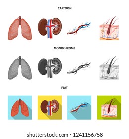 Vector illustration of body and human sign. Set of body and medical vector icon for stock.