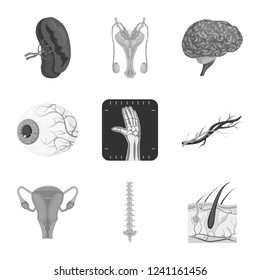Vector illustration of body and human sign. Set of body and medical vector icon for stock.