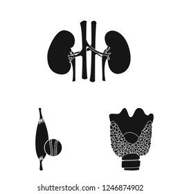 Vector illustration of body and human sign. Set of body and medical vector icon for stock.