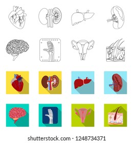 Vector illustration of body and human sign. Set of body and medical vector icon for stock.