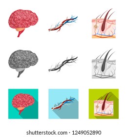 Vector illustration of body and human sign. Collection of body and medical vector icon for stock.