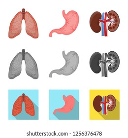 Vector illustration of body and human sign. Set of body and medical vector icon for stock.