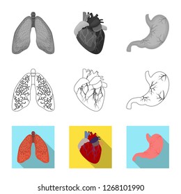Vector illustration of body and human sign. Collection of body and medical stock vector illustration.