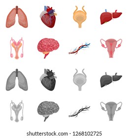 Vector illustration of body and human sign. Set of body and medical vector icon for stock.