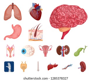 Vector illustration of body and human sign. Collection of body and medical stock vector illustration.