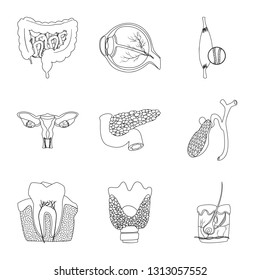 Vector illustration of body and human sign. Collection of body and medical stock symbol for web.