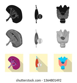 Vector illustration of body and human sign. Collection of body and medical stock vector illustration.