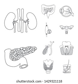 Vector illustration of body and human sign. Set of body and medical stock symbol for web.