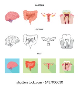 Vector illustration of body and human sign. Collection of body and medical stock symbol for web.