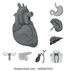 Vector illustration of body and human sign. Set of body and medical vector icon for stock.