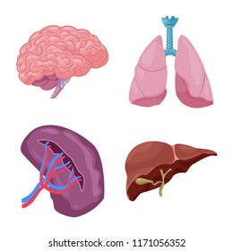 Vector illustration of body and human symbol. Collection of body and medical stock symbol for web.