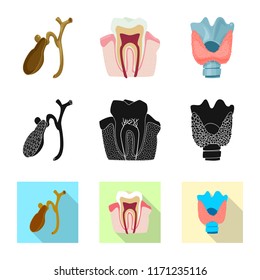 Vector illustration of body and human symbol. Collection of body and medical stock vector illustration.