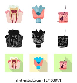 Vector illustration of body and human symbol. Collection of body and medical stock symbol for web.