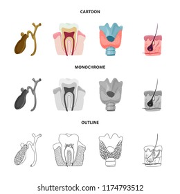 Vector illustration of body and human symbol. Collection of body and medical stock vector illustration.