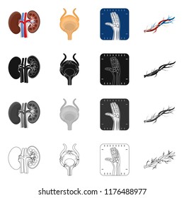 Vector illustration of body and human symbol. Set of body and medical vector icon for stock.