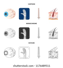 Vector illustration of body and human symbol. Collection of body and medical stock vector illustration.