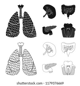 Vector illustration of body and human symbol. Set of body and medical vector icon for stock.