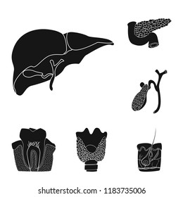 Vector illustration of body and human symbol. Set of body and medical stock symbol for web.
