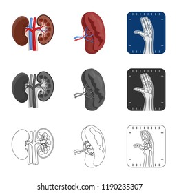 Vector illustration of body and human symbol. Collection of body and medical stock vector illustration.