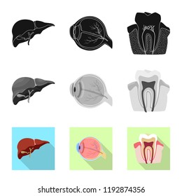 Vector illustration of body and human symbol. Set of body and medical vector icon for stock.