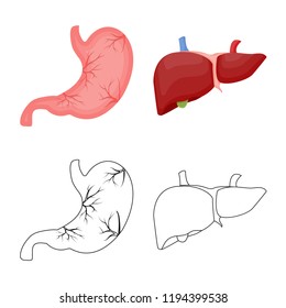 Vector illustration of body and human symbol. Collection of body and medical stock vector illustration.