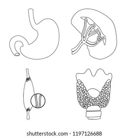 Vector illustration of body and human symbol. Set of body and medical vector icon for stock.