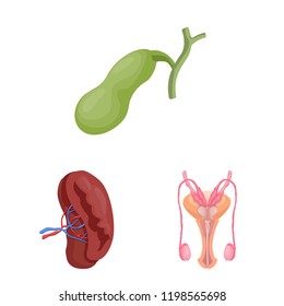Vector illustration of body and human symbol. Set of body and medical vector icon for stock.