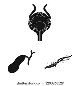 Vector illustration of body and human symbol. Set of body and medical vector icon for stock.