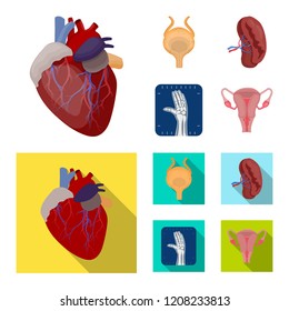 Vector illustration of body and human symbol. Collection of body and medical stock symbol for web.
