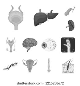 Vector illustration of body and human symbol. Set of body and medical stock symbol for web.