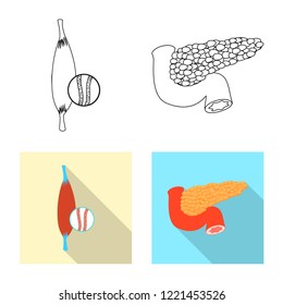 Vector illustration of body and human symbol. Collection of body and medical vector icon for stock.