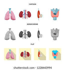 Vector illustration of body and human symbol. Set of body and medical vector icon for stock.