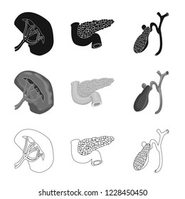 Vector illustration of body and human symbol. Set of body and medical stock symbol for web.