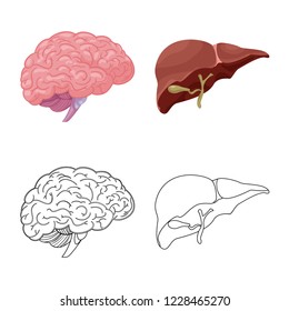 Vector illustration of body and human symbol. Set of body and medical vector icon for stock.