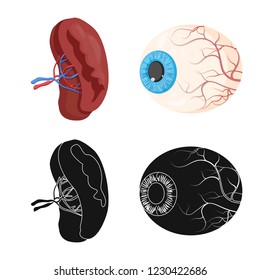 Vector illustration of body and human symbol. Collection of body and medical vector icon for stock.