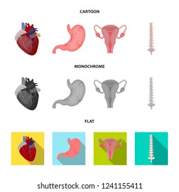 Vector illustration of body and human symbol. Collection of body and medical stock symbol for web.